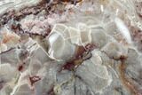 Polished Crazy Lace Agate - Mexico #114384-3